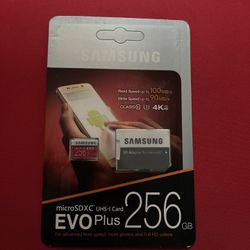 Samsung Evo Plus 256gb Mico SD