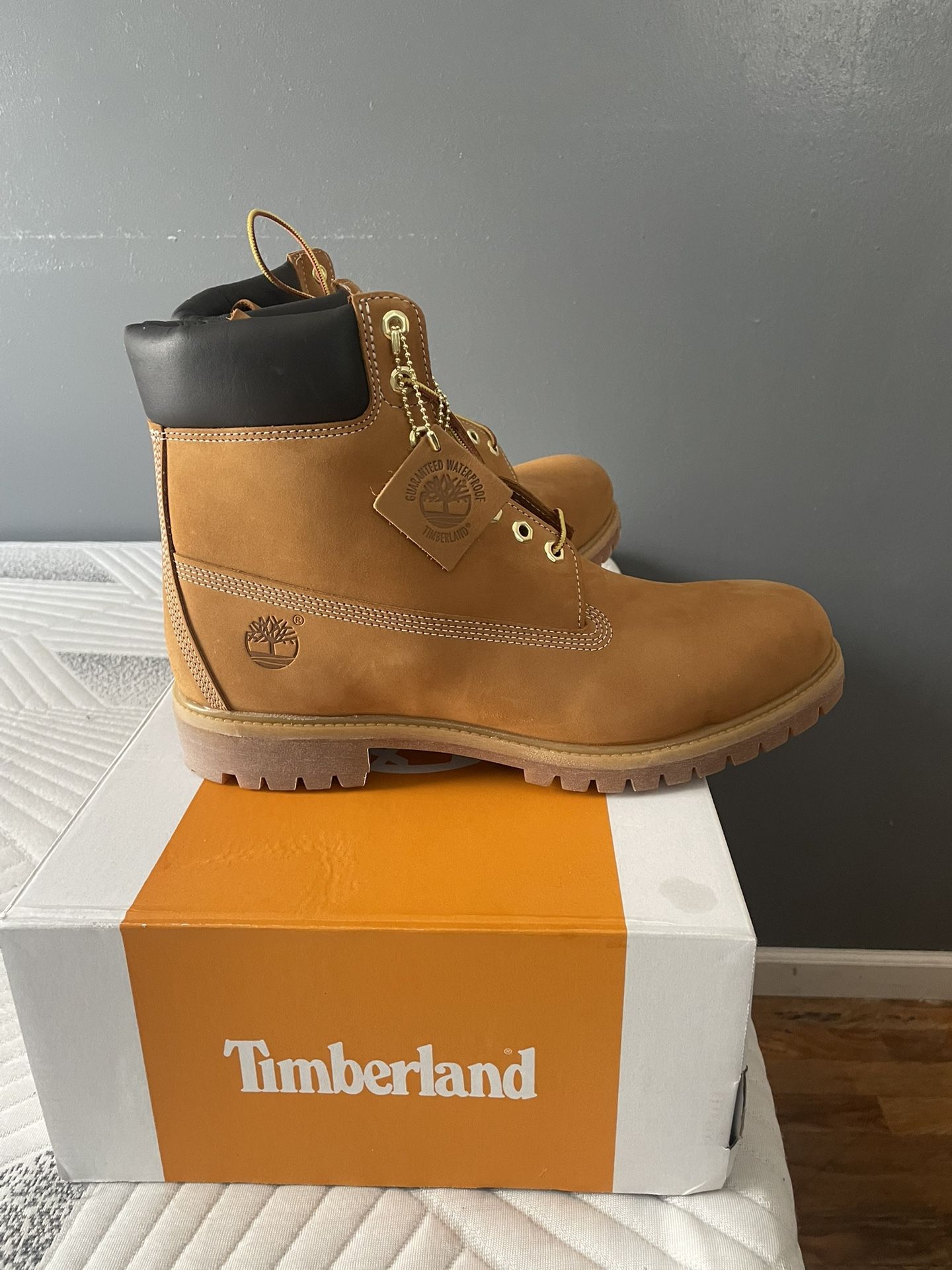 Size 13 Timberlands