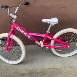 Girls Bike Size 20 
