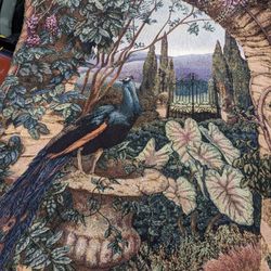 Peacock Under The Arch 