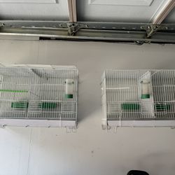 Birds Cage