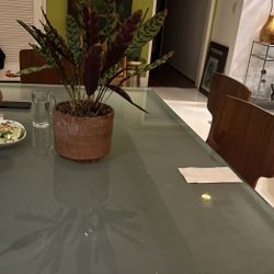 Glass Table Top