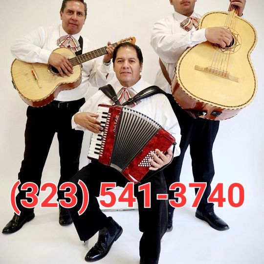 Mariachi Trio, Guitarra