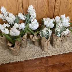 White Floral Bundle