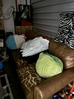 Leather Sleeper Couch