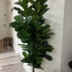 Pretty Artificial Plant 6 Ft Tall Fig Tree! Brand New
