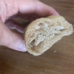 Natural,Vegan sponge 