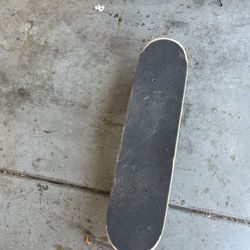 Skate Board
