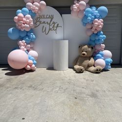 Gender Reveal/ Baby Shower Setup 
