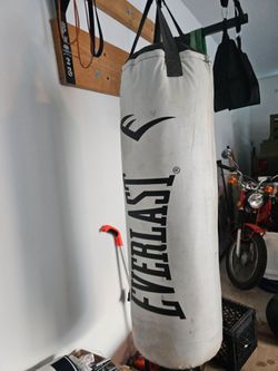 Everlast Punching Bag  $70