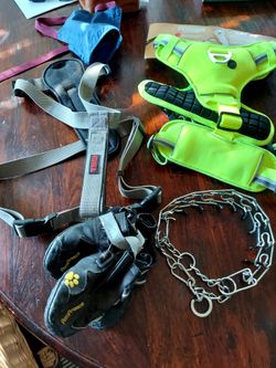 Large dog bundle- 2 harnesses,  1 metal collar, shoes etc.