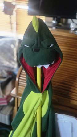 Dragon ADULT costume