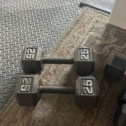 25 Iron Dumbbells 