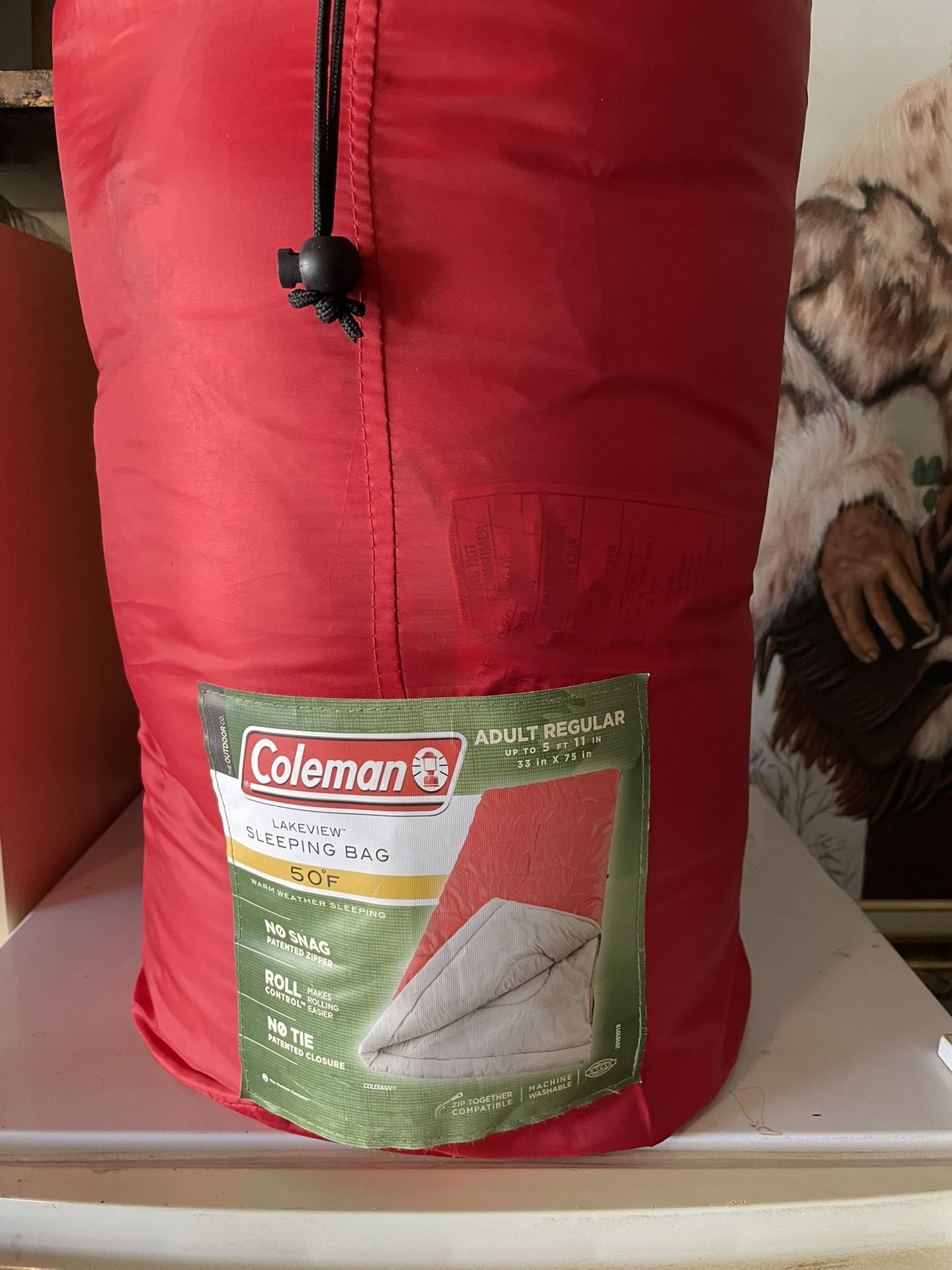 Coleman Lakeview Adult Sleeping Bag