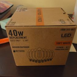 40 W Light Bulbs - Soft White 