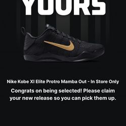 Kobe 11 Elite Protro “fade To Black” Sz10.5M