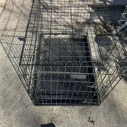 Metal wire dog crate with a plastic tray