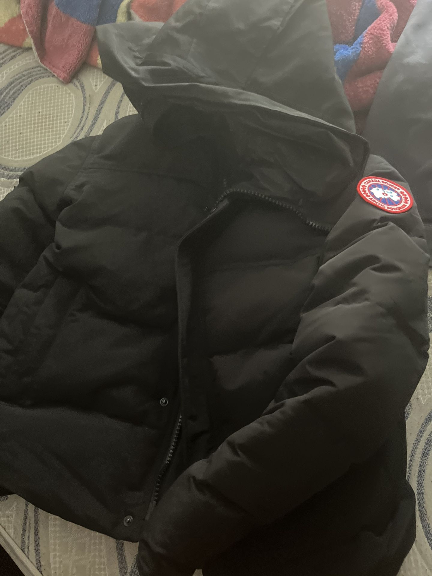 Canada Goose