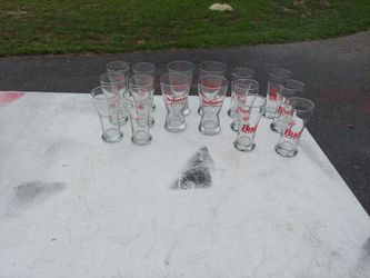 16 Budweiser, glasses. Everything you see $10.