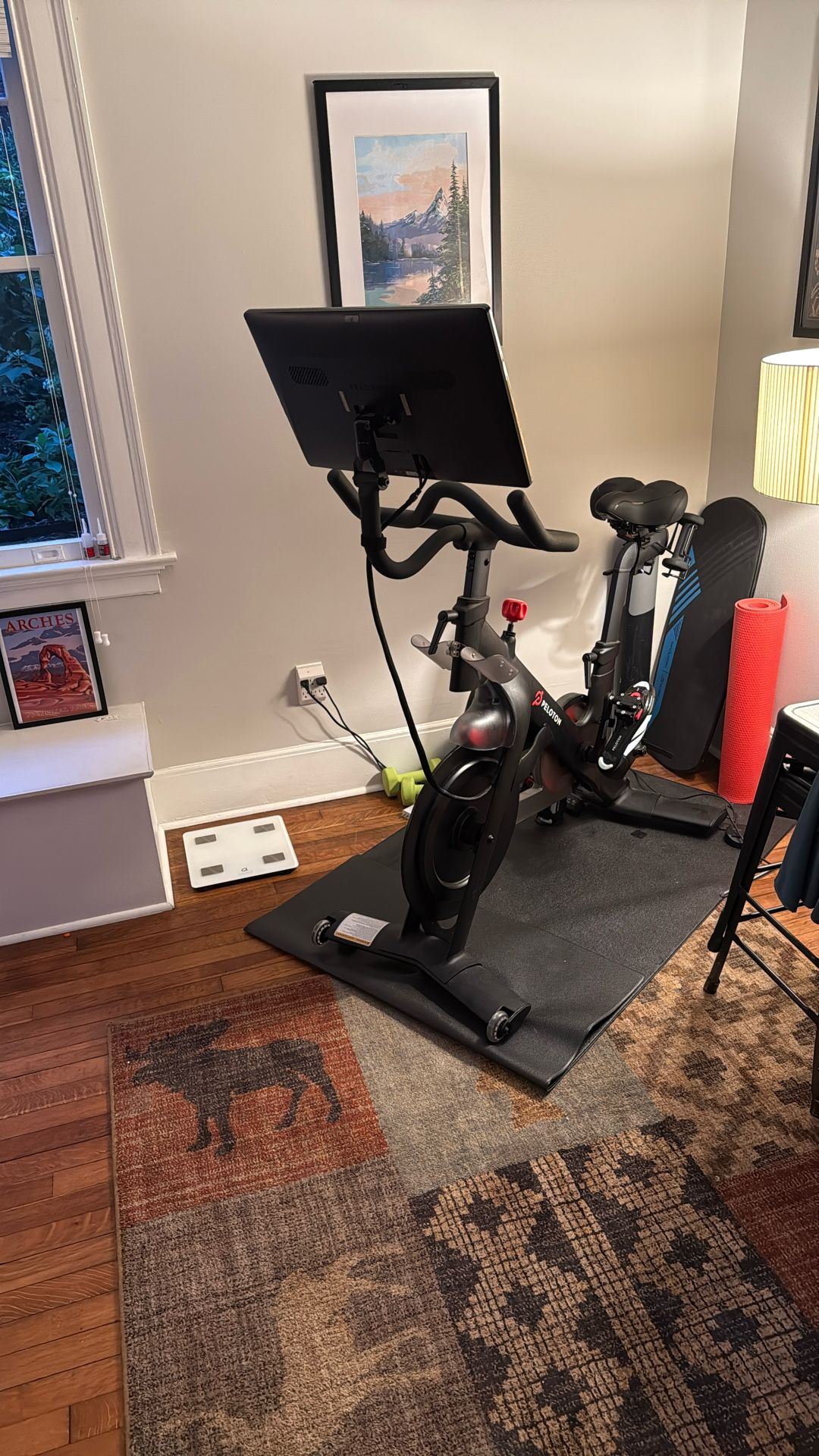 Peloton With Swivel Screen