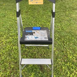 Kobalt 2 -Step 250-lb Capacity
