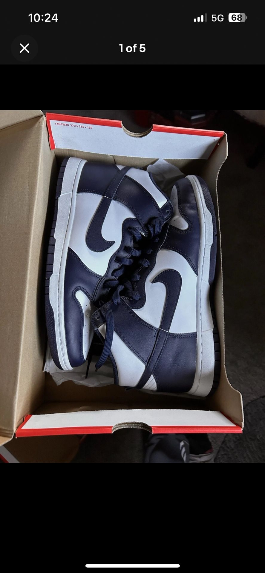 Nike Dunk High