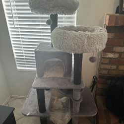 Cat Tree 