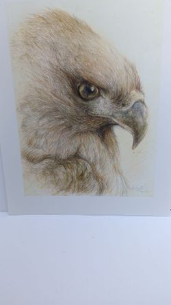 Eagle head print by Roberta Meyer