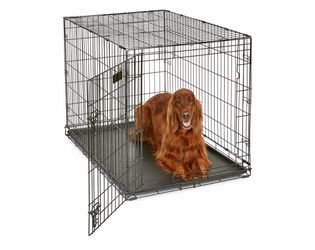 Large Dog crate cage