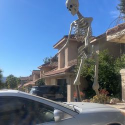 Halloween 12ft Skeleton And 15 Ft Moonlit Magic Phantom 
