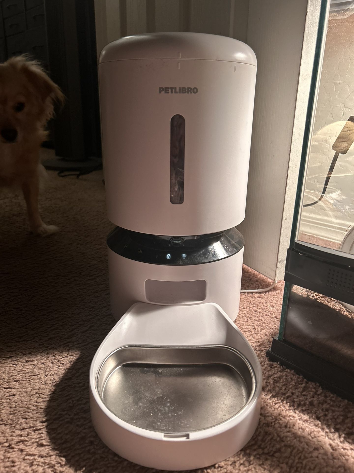 Petlibro Feeder