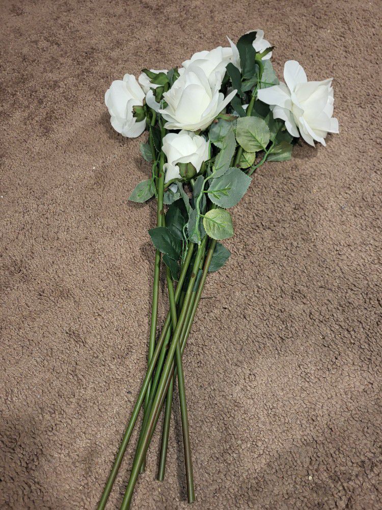8 White Long Stemmed Roses