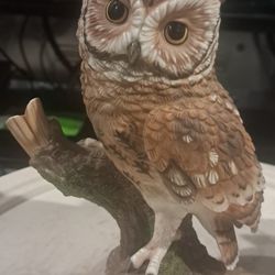 Owl Decor