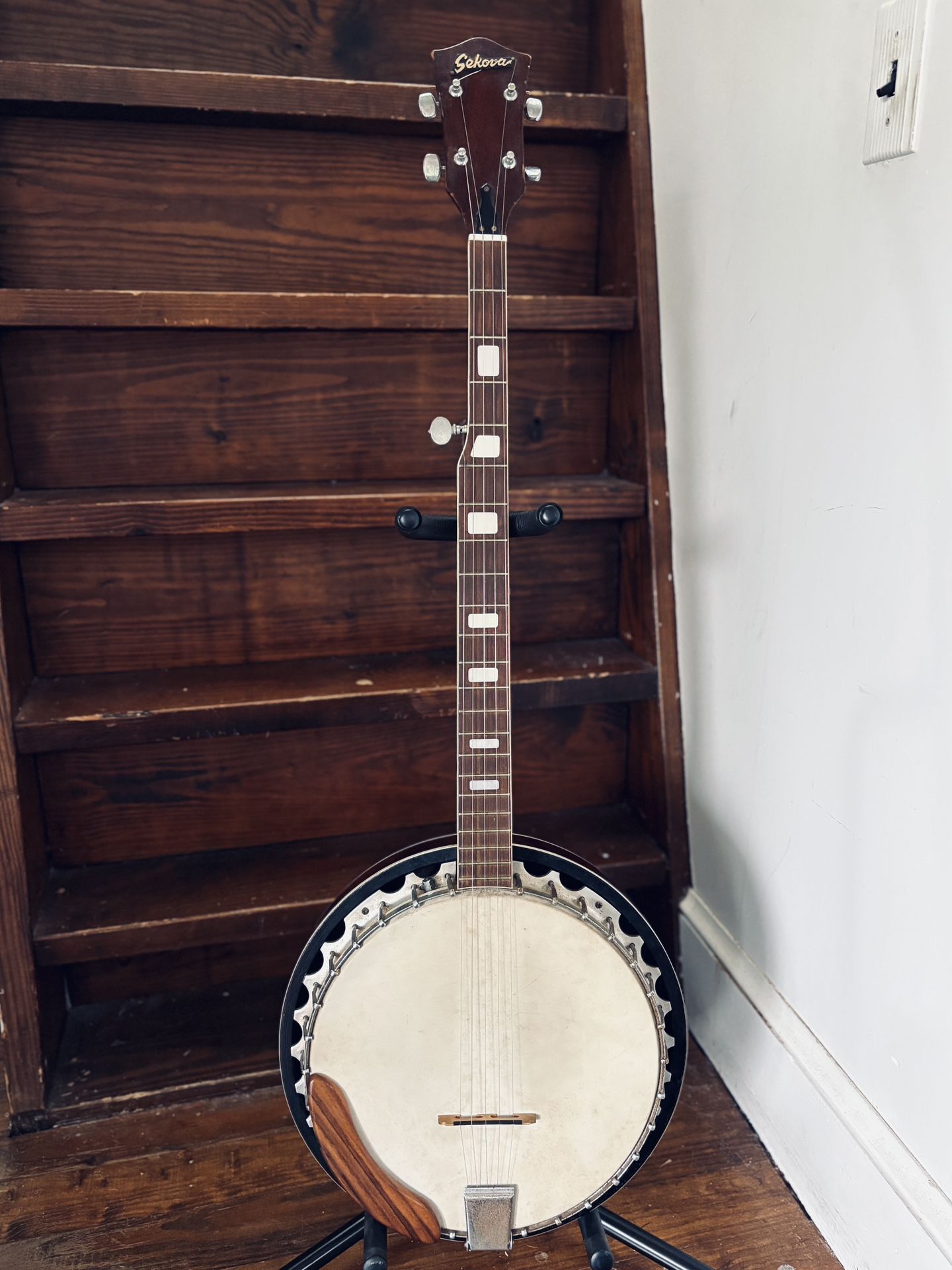 5-string banjo