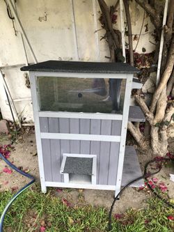 Cat House Double Occupancy