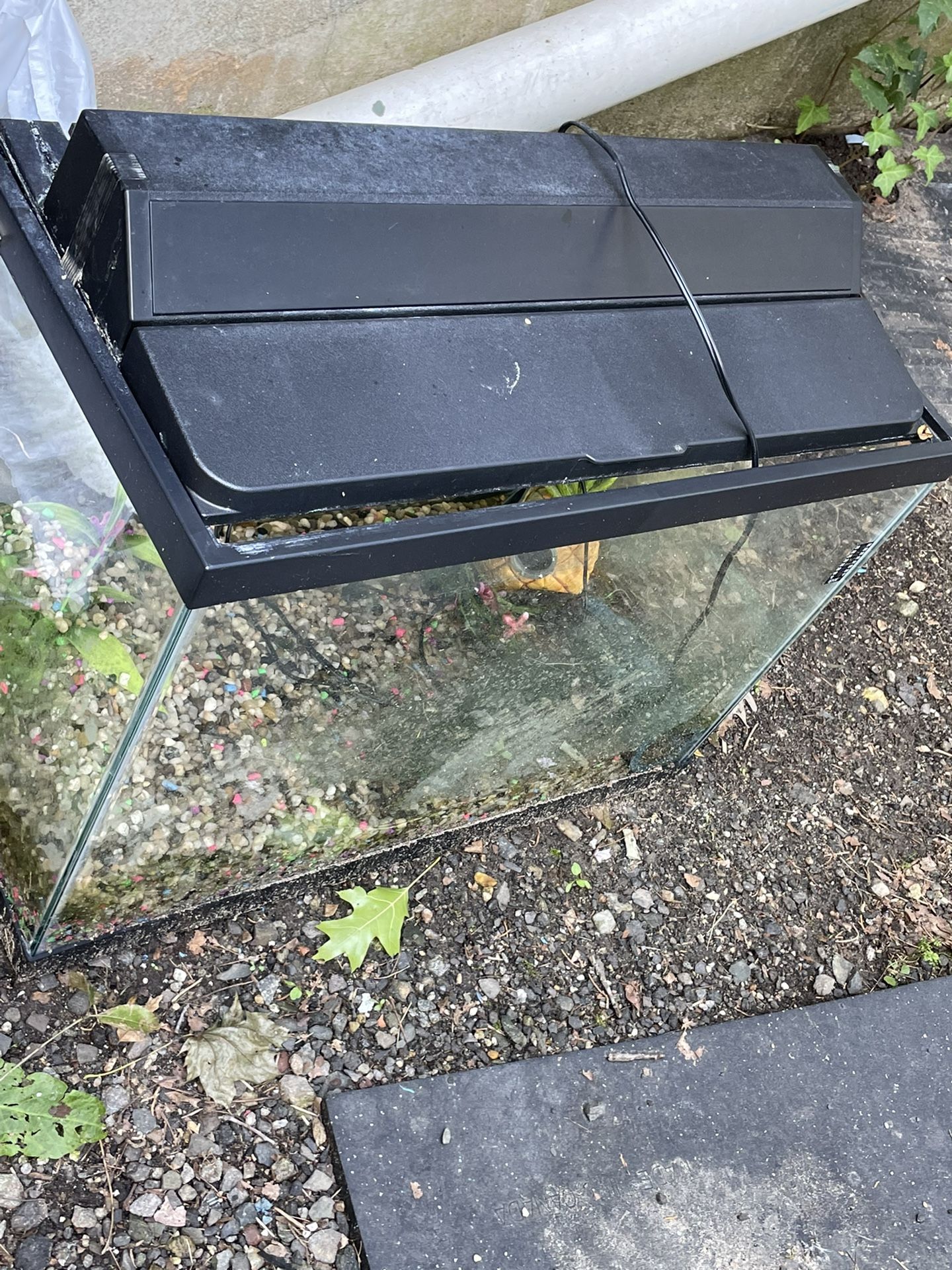 25 Gallon Fish Tank With Nice Stand ! Everything Properly cleaned