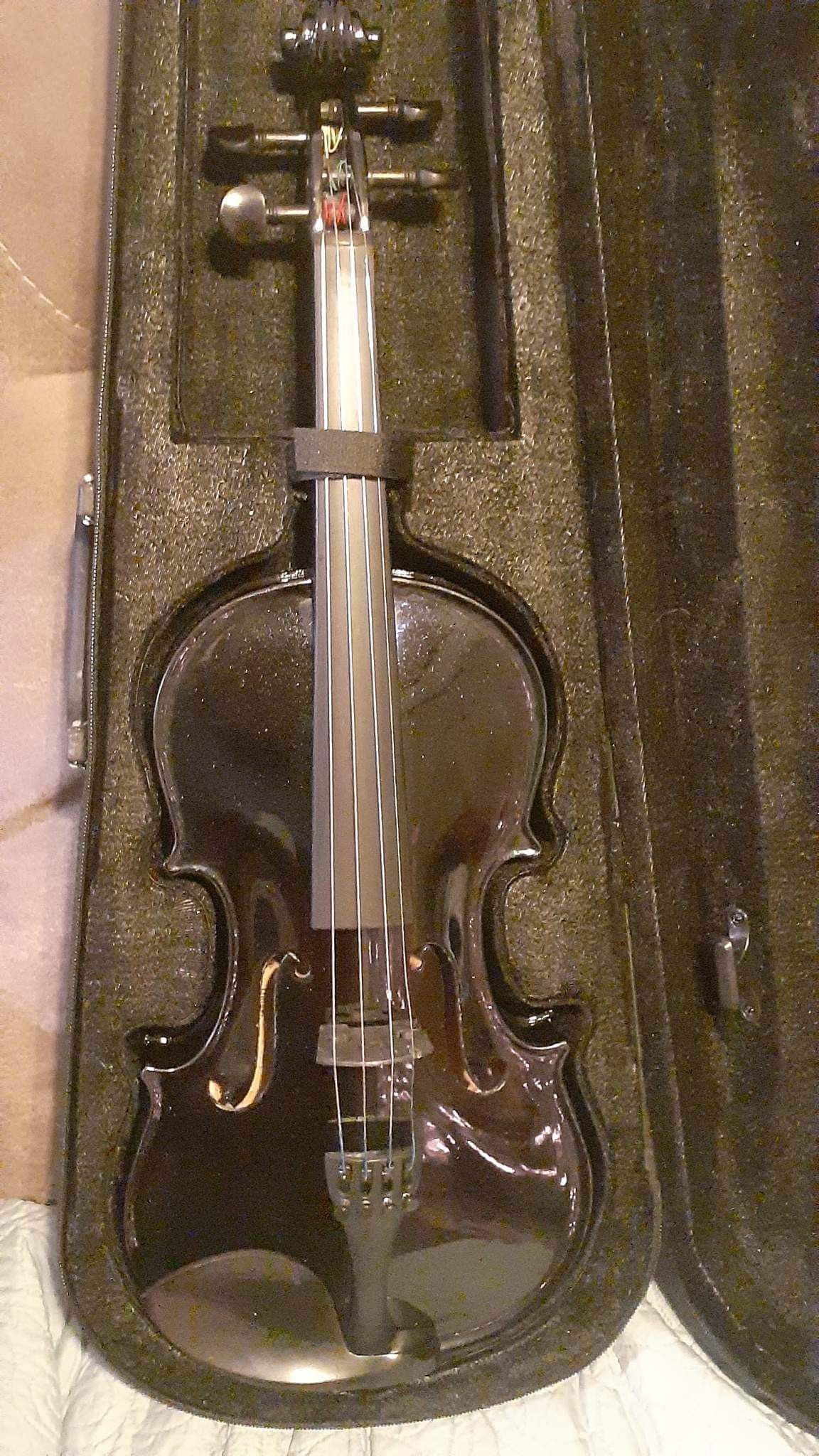 Violin