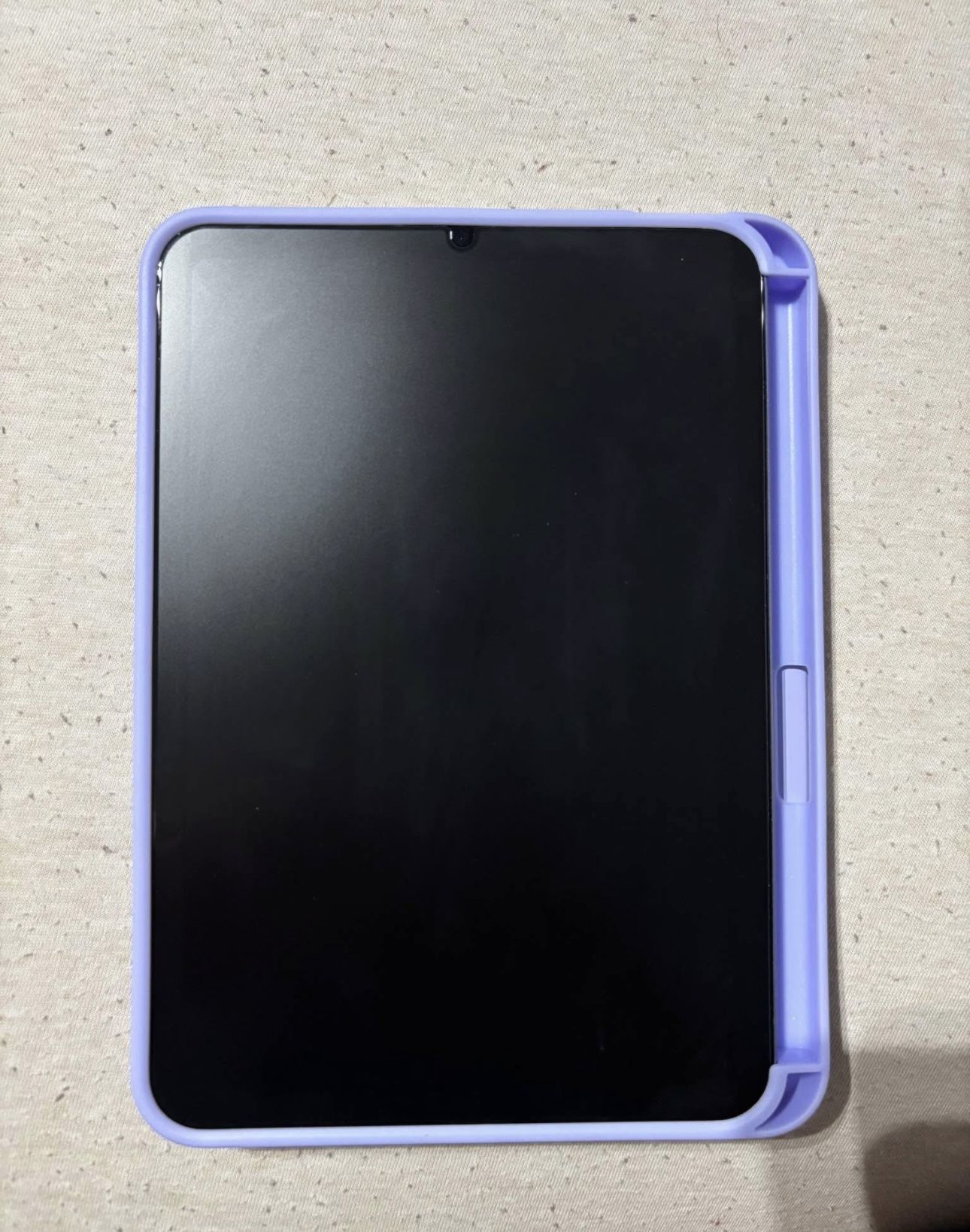 iPad Mini 6th Gen With Apple Pencil