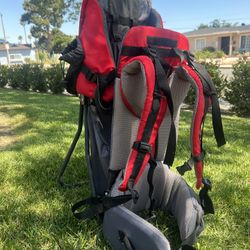 Kids/ Toddler Carrier Backpack 