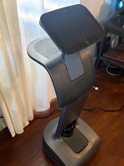 Temo robot