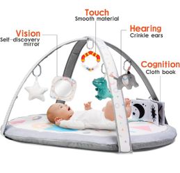 Baby Play Gym With Free Baby Flashcards