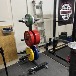 Calibrated Powerdragon Powerlifting  Plates 