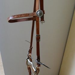 Horse Bridle 