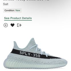 Yeezy 350