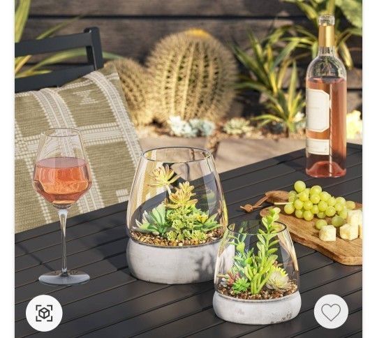 Large + Medium Round Glass With Cement Base Terrarium (Indoor/Outdoor)