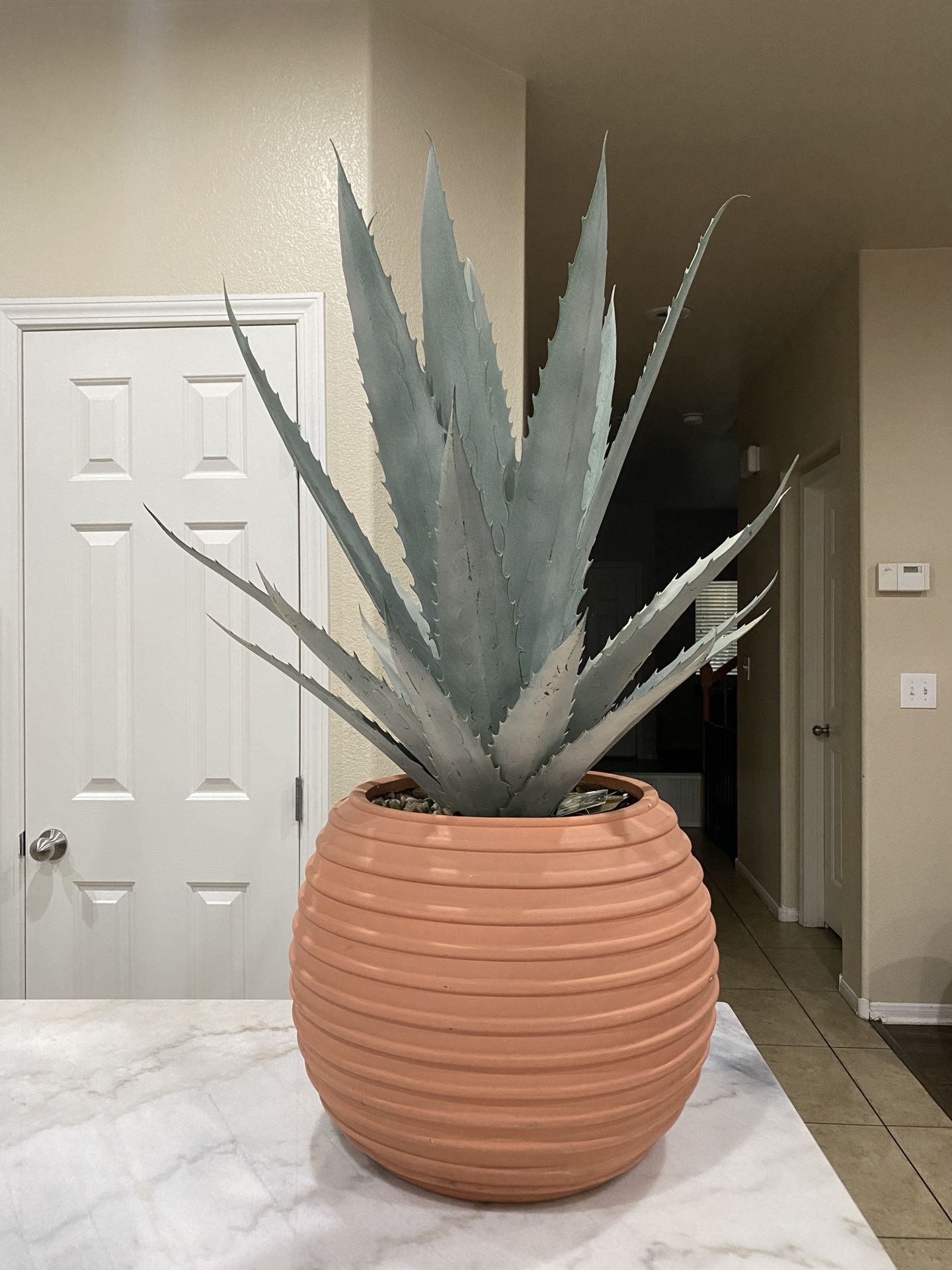 LARGE CARROT PLANTER / DECOR - BRAND NEW