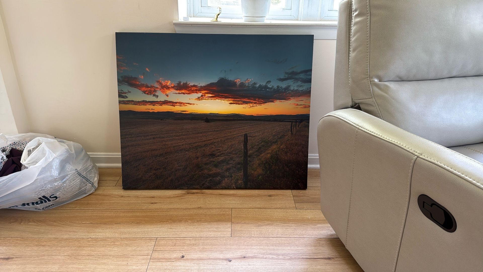 Canvas Prints - 20 Each