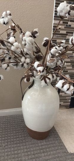 Cotton stems decorative