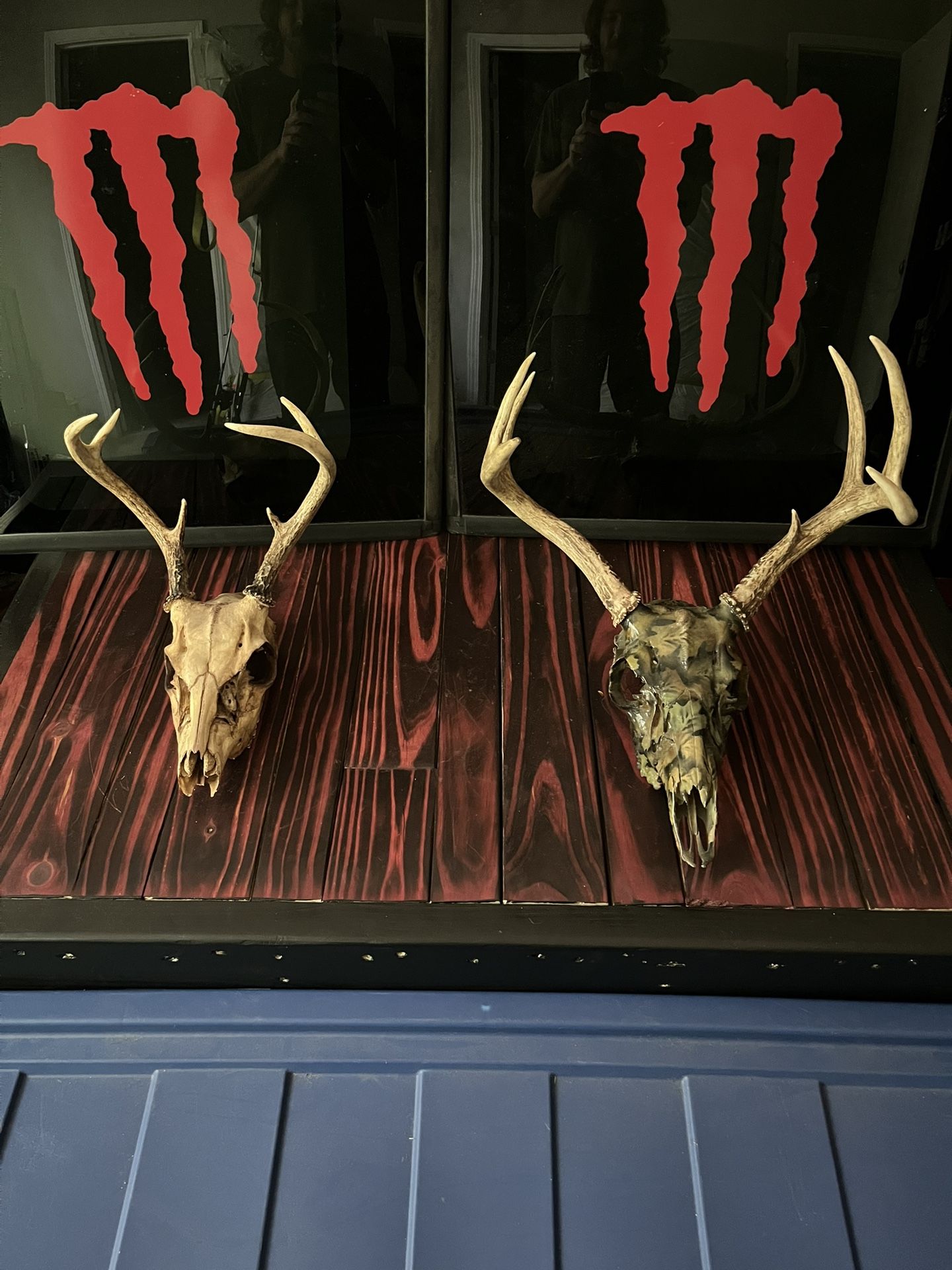Deer Skulls