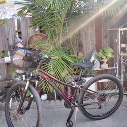 Specialized Muka Sport Bike